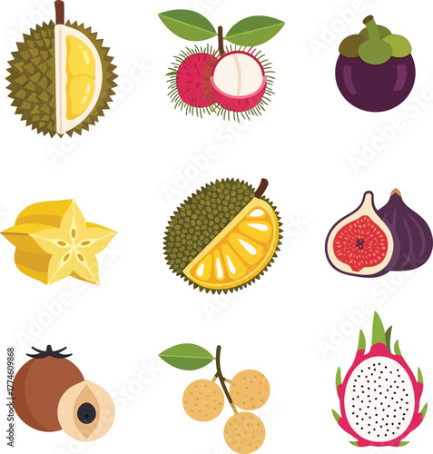 Exotic Tropical Fruits Flat Design Icon Set - Durian, Lychee, Jackfruit, and Dragon Fruit