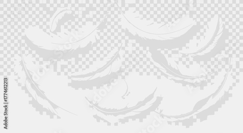 Realistic White Feathers Falling - Soft & Ethereal Background