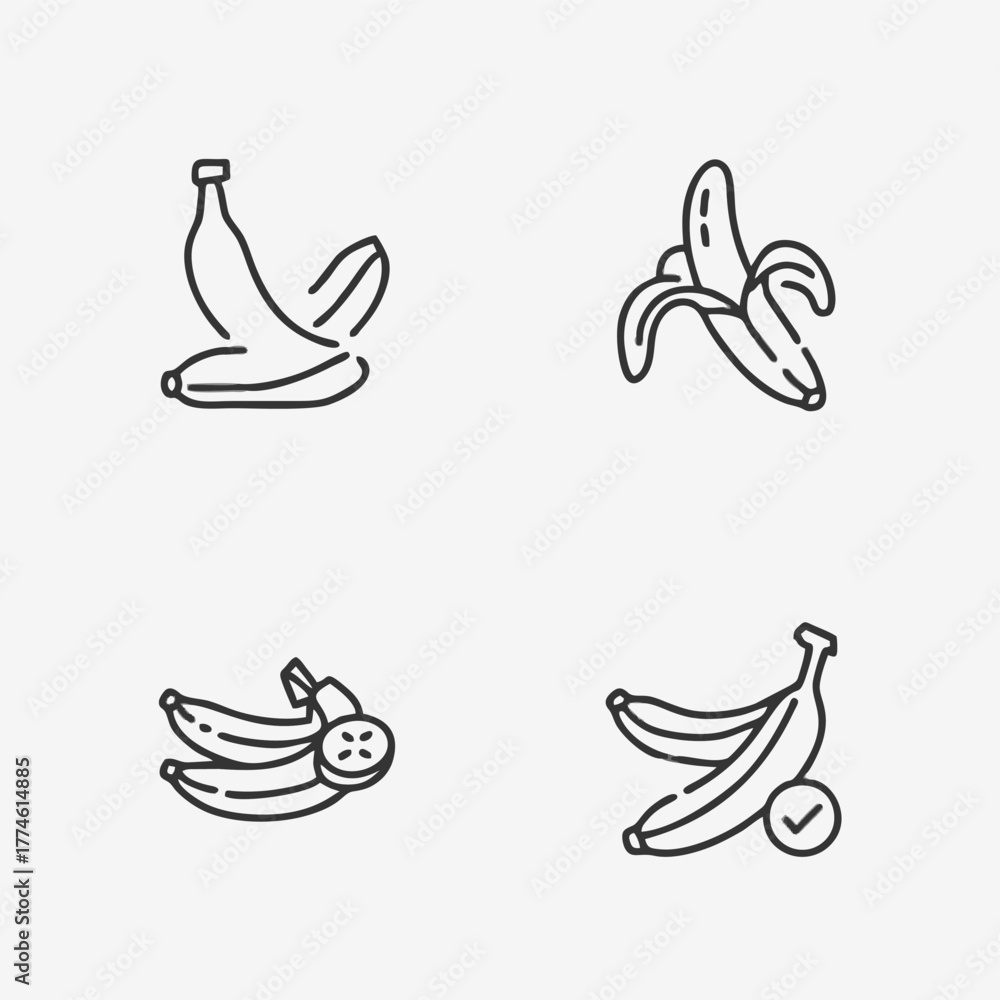 Obraz premium Set of vector bird icons flying in various styles