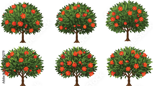 Beautiful pomegranate trees illustration with green leaves and red flowers, perfect for nature, botanical, garden, fruit, and seasonal vector designs.