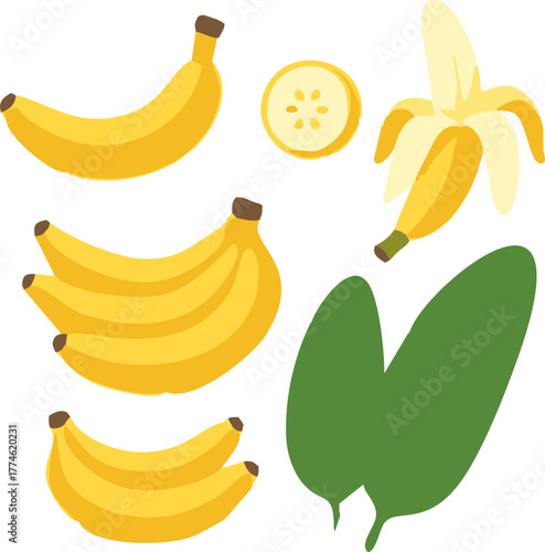 Set of fresh ripe bananas on white background