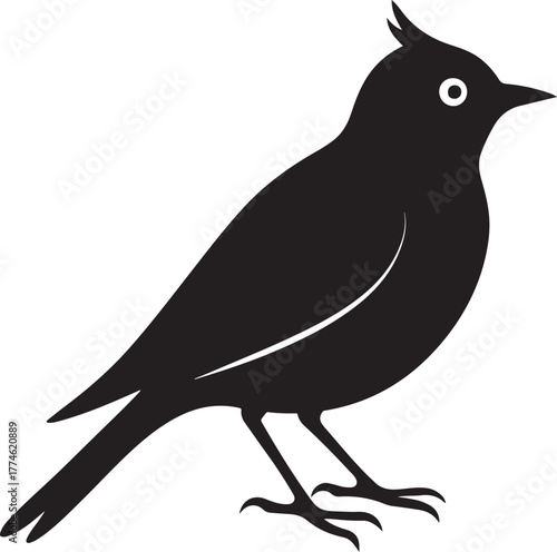 Silhouette lark transparent