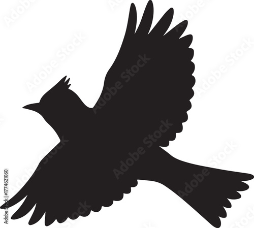 Silhouette lark transparent