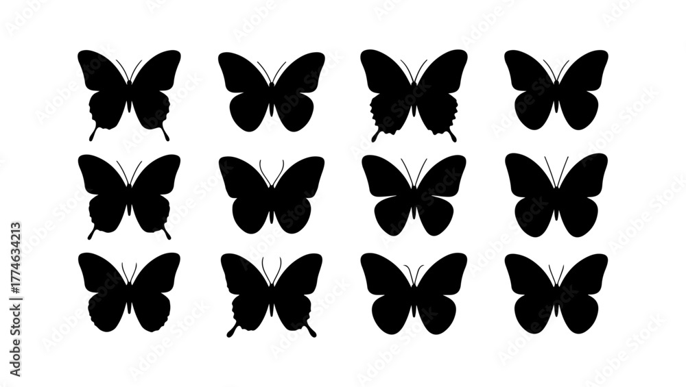 Fototapeta premium Flying Insect Vector Set
