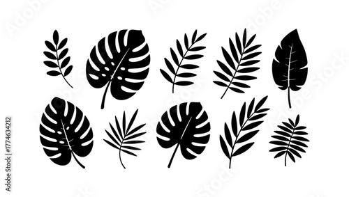 Tropical Leaves Silhouettes Set