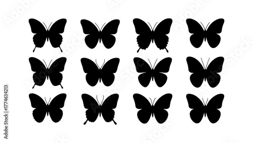 Flying Insect Vector Set