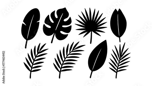 Tropical Leaves Silhouettes Set