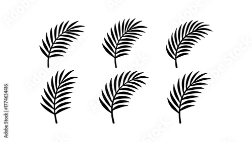 Tropical Leaves Silhouettes Set