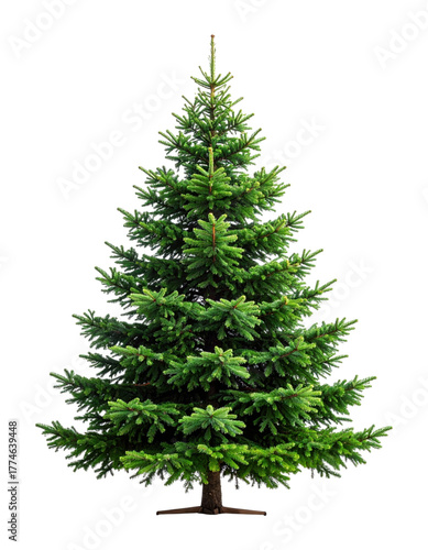 Blank undecorated pine Christmas tree mockup with full lush green branches, isolated on transparent background, png