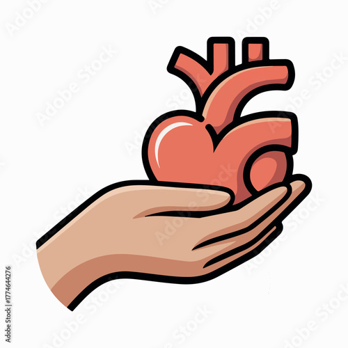 Human hand holding a stylized anatomical heart with arteries anatomy organ.