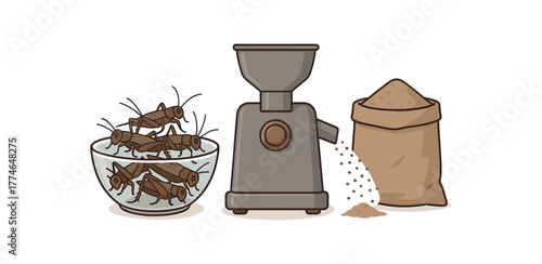 cricket flour production process grinding insects into protein rich powder flat vector illustration style isolated on white background