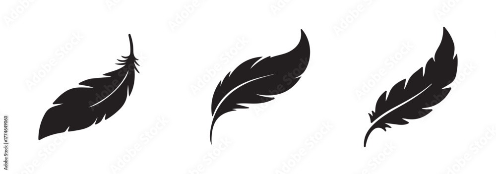 Fototapeta premium Black feather silhouette vector set. Different bird feathers icon collection. Bird feathers vector illustration, hand-drawn feather collection.
