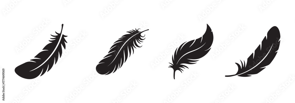 Fototapeta premium Black feather silhouette vector set. Different bird feathers icon collection. Bird feathers vector illustration, hand-drawn feather collection.
