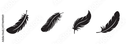 Black feather silhouette vector set. Different bird feathers icon collection. Bird feathers vector illustration, hand-drawn feather collection.