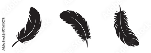 Elegant black feather silhouette set. Vector of feather icons collection. Black feather silhouette set  in various shapes.