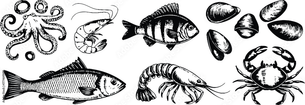 Fototapeta premium Octopus shrimp fish crab mussels vector