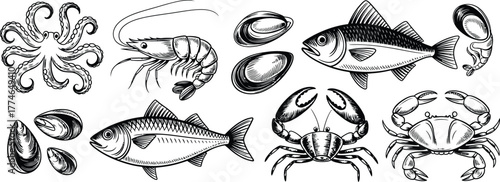 Seafood collection silhouette Bundle Vector octopus