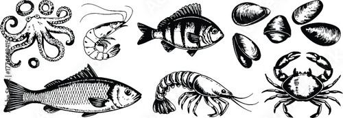Octopus shrimp fish crab mussels vector