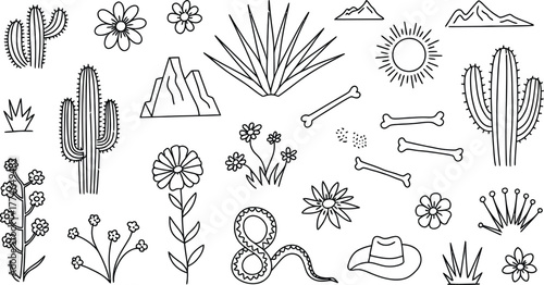 Desert flora fauna and landscape elements cactus flower