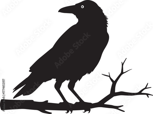 Dark raven vector silhouette perched on a barren tree branch isolated against a stark background