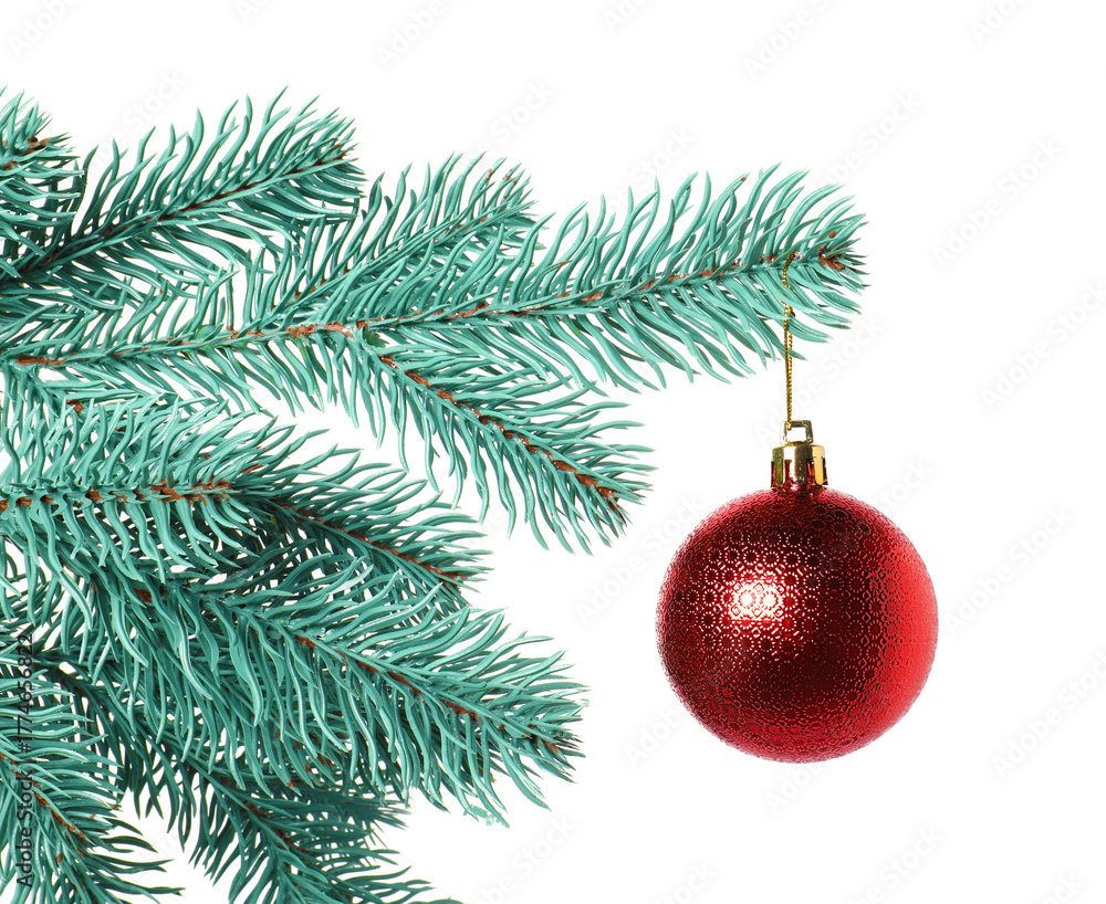 Obraz premium Christmas tree branch with decorative ball isolated on white