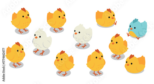 Colorful baby chickens on white background in cute isometric style