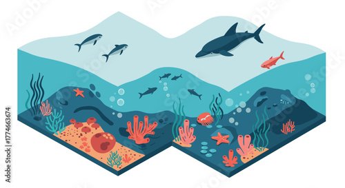 Isometric ocean scene with diverse marine life and coral reefs