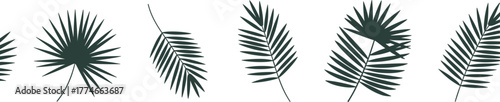 Palm leaf silhouettes, tropical foliage, botanical shapes, black icons, nature design, vector leaves, exotic plants, graphic elements, leaf forms, decorative illustration