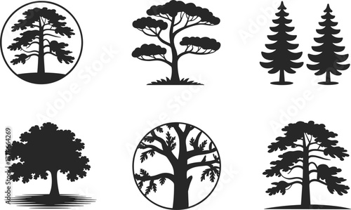 PrintTree silhouette collection, black vector trees, pine, fir, bonsai, acacia, abstract design, forest icons, nature shapes, isolated illustrations
