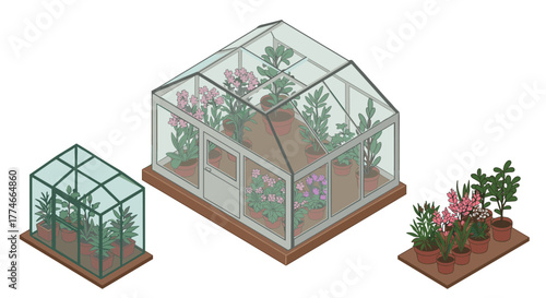 Isometric greenhouse designs with plants in pots and wooden platforms