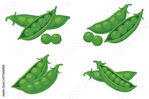 Green peas isolated on white background. Vector eps 10	