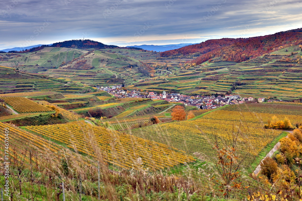 Naklejka premium Blick auf Oberbergen im Kaiserstuhl im Herbst