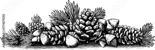 Pine needles and fir cones border design for rustic holiday decor