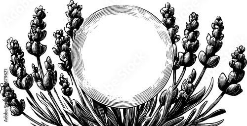 Circular botanical border featuring lavender stems and buds for elegant design and decoration