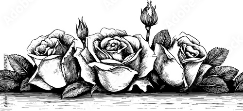 Elegant circular floral border with blooming roses and curved stems for vintage design projects