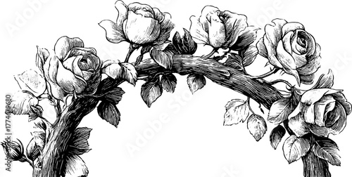 Vintage circular floral border with blooming roses and curved stems for design