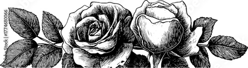 Elegant floral border with intertwined roses and leaves for retro designs