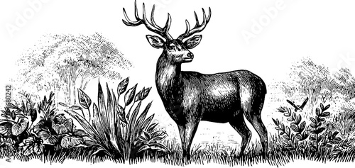 Majestic deer in forest setting with intricate antlers - nature and wildlife art for decor