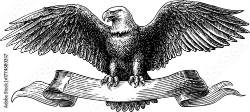 Majestic eagle with spread wings holding ribbon banner - vintage engraving for design