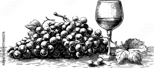 Engraved abstract grapes wine glass vintage arrangement composition sketch hand drawn engraving illustration. Classic vineyard motif with elegant vines and rustic gourmet style.
