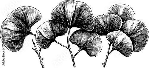 Engraved abstract geometric eucalyptus pattern for design projects