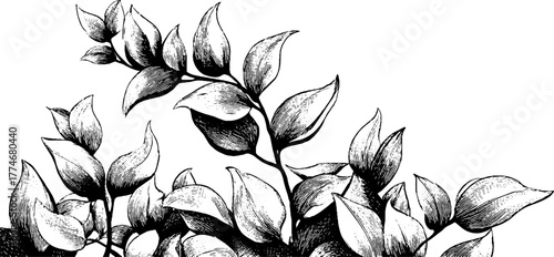 Vintage engraved eucalypt leaves in abstract geometric pattern for retro design