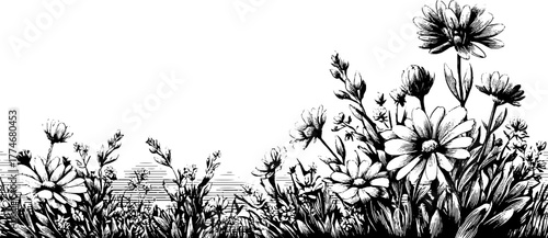 Intricate engraved minimalist frame featuring wildflower stems for art and design