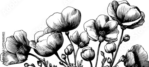 Elegant minimalist frame with engraved wildflower stems for artistic design