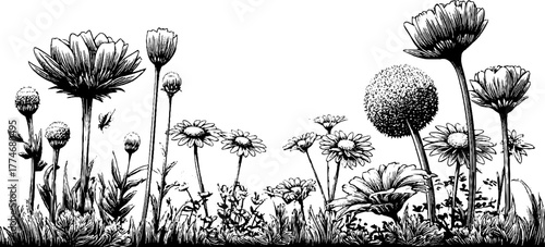 Modern botanical silhouette engraving with floral composition for artistic design