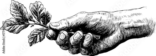 Engraved artistic composition of hand holding leaf for vintage design and decoration