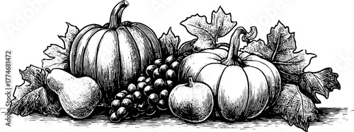 Engraved autumn harvest wreath with pumpkins, fruits, and leaves - perfect for seasonal decoration