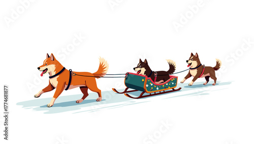 Three huskies pulling decorated sled on snow, dog sleds pulling sleds winter concept