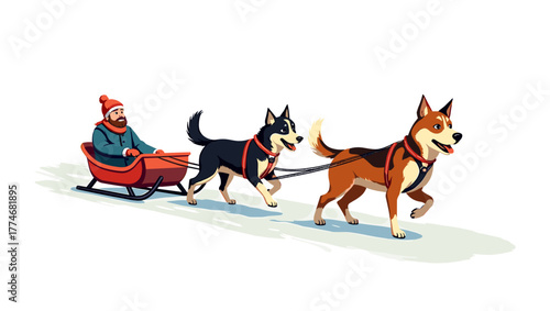 Man in red hat driving sled pulled by two dogs, dog sleds pulling sleds winter motion