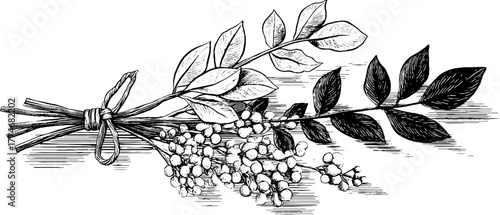 Vintage botanical composition of medicinal herbs bundle for natural healing and design